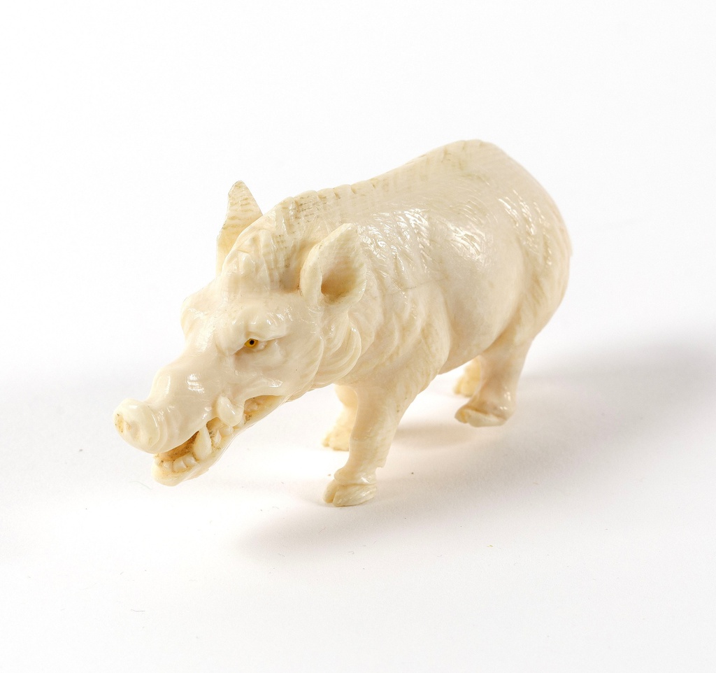 ivory-sculpture-boar-hog-dramblio-kaulo-skulptura-sernas-3.JPG
