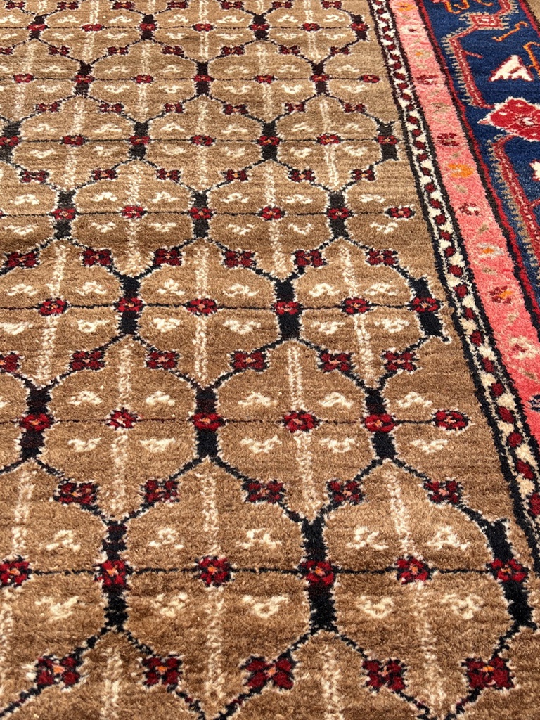 HC2583 kilimas 10.jpg