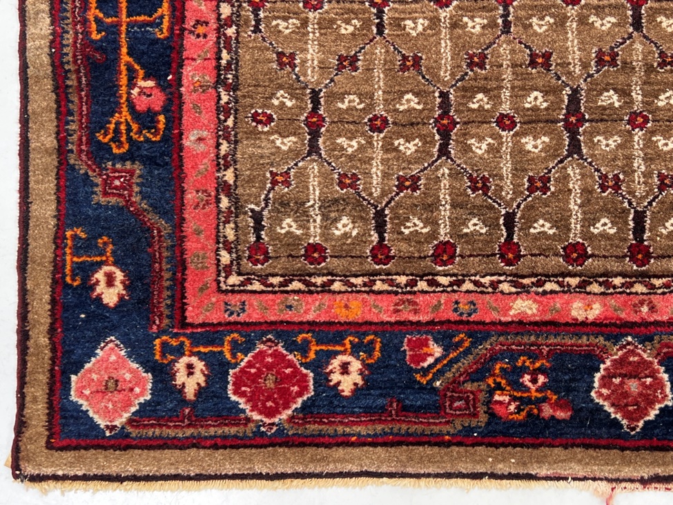 HC2583 kilimas 8.jpg