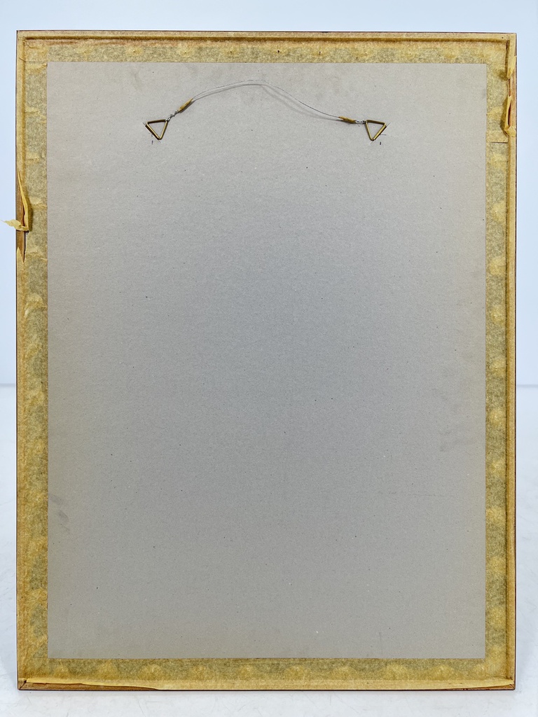 HC2596 plakatas 11.jpg