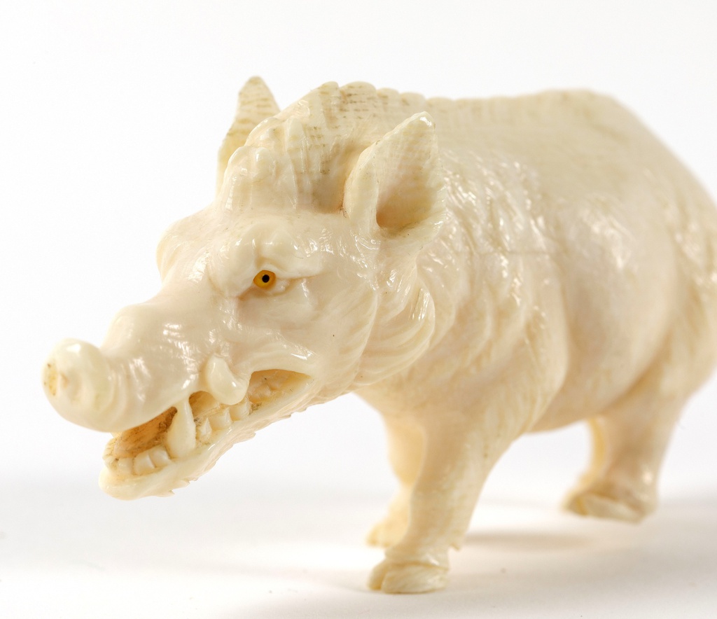 ivory-sculpture-boar-hog-dramblio-kaulo-skulptura-sernas-4.JPG
