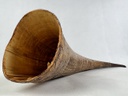 BK0381 ragas (4).JPEG