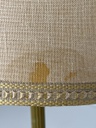 HC2658 torseras 6.jpg